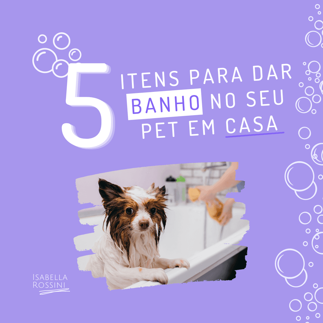 O que é essencial para dar banho no pet em casa?