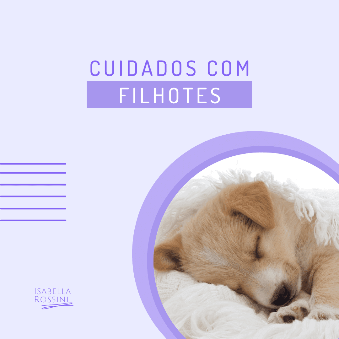 Quais são os principais cuidados com os filhotes?