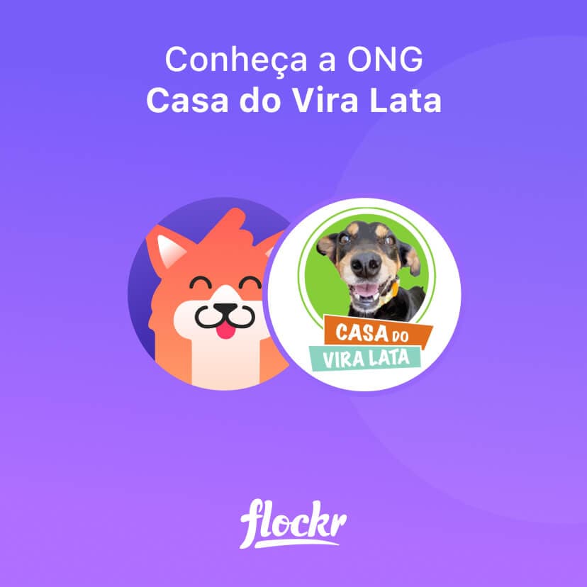 Conheça a ONG: Casa do Vira Lata