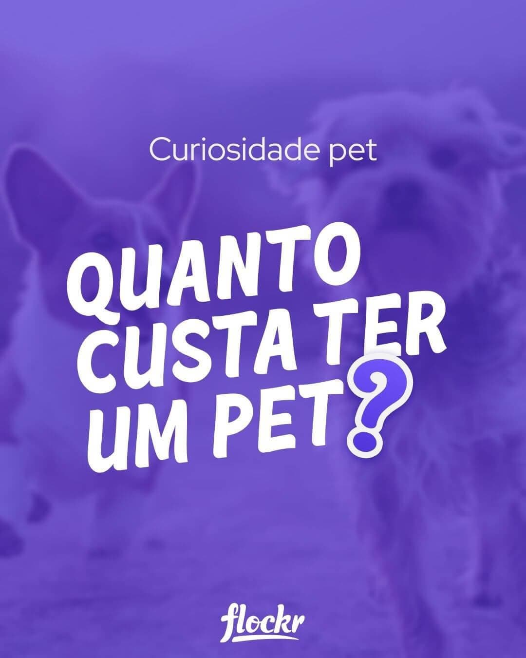 Quanto custa ter um pet
