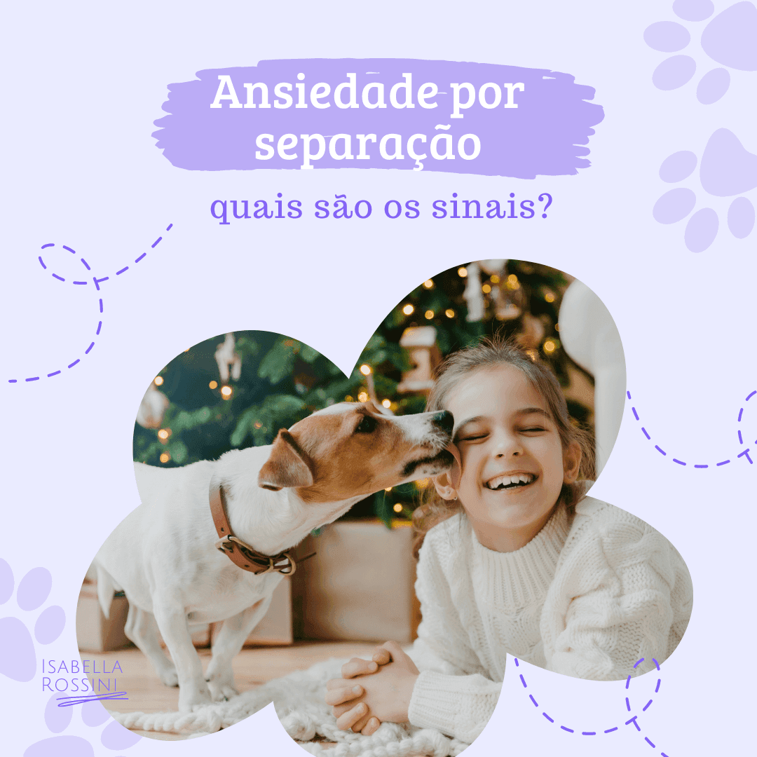Quais são os sinais de ansiedade por separação em cães?