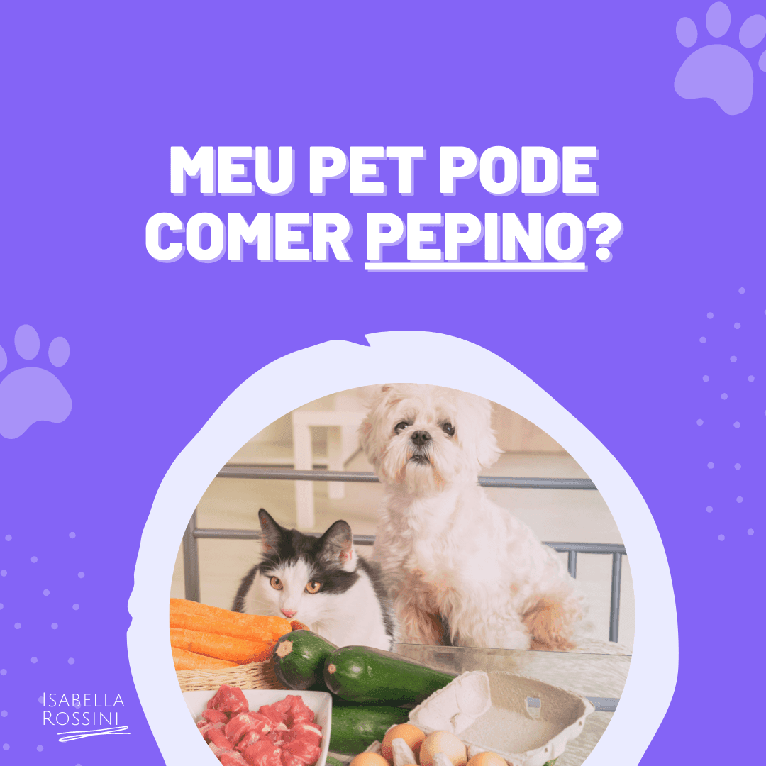 Meu pet pode comer pepino?