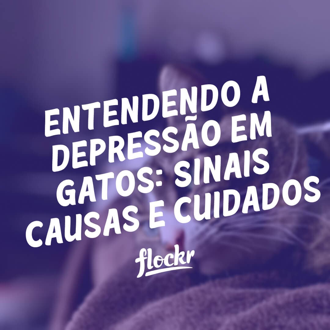 Entendendo a Depressão em Gatos: Sinais, Causas e Cuidados
