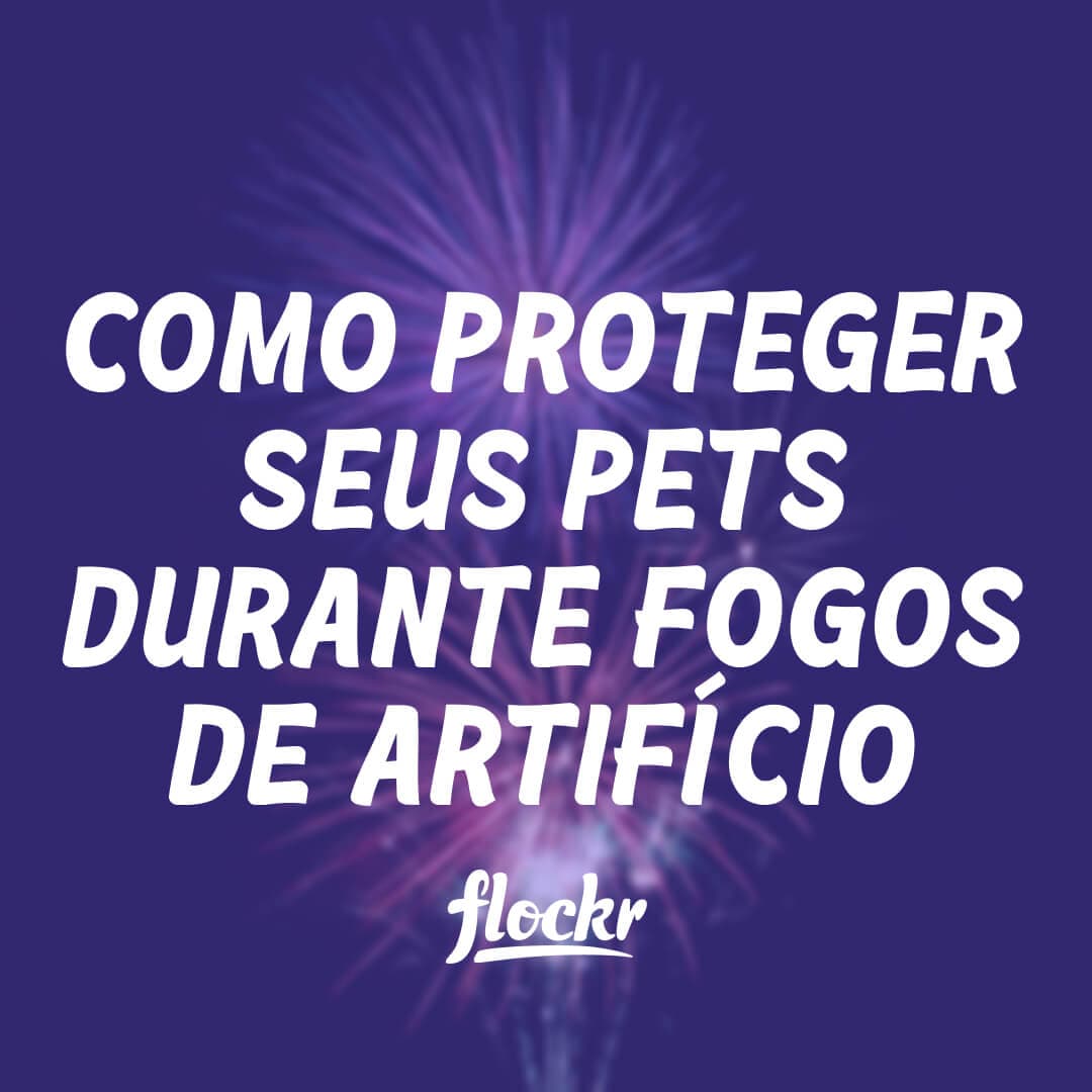 Como Proteger Seus Pets Durante Fogos de Artifício