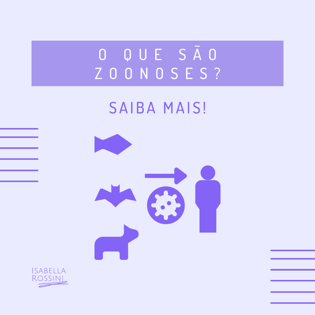 O que são zoonoses?