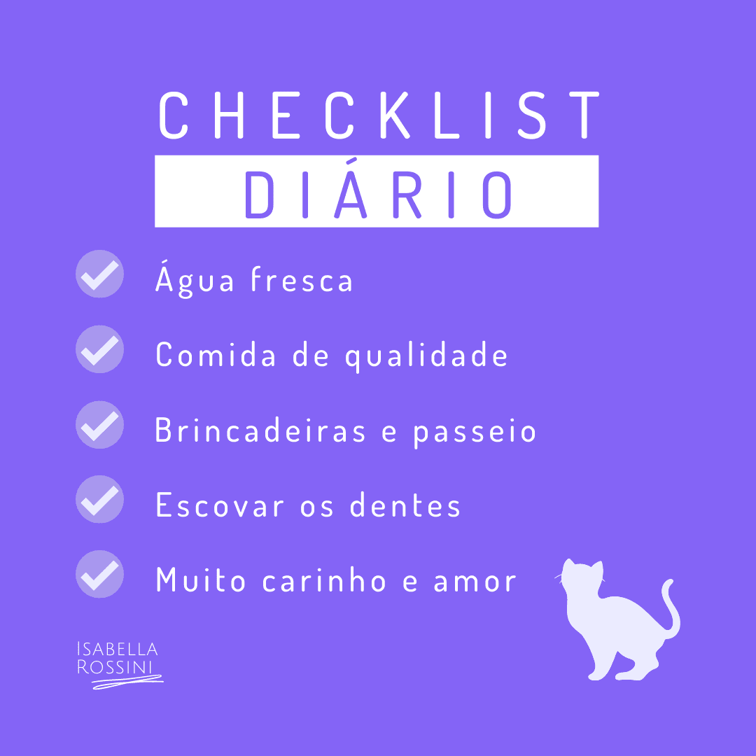 Sabia que criar uma rotina para o seu bichinho é importante?